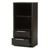15.47" 2 Drawer Carlingford Modern and Contemporary Espresso Finished Wood Bookshelf Brown - Baxton Studio