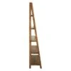 72.25" Bandon Ladder Bookshelf Ginger Brown - OSP Home Furnishings -Bookshelves Sales Shop unnamed file 2662